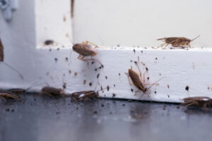 Why Pest Control Is Critical for Business Reputation