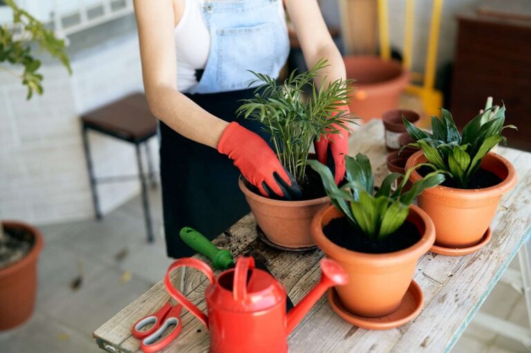 Container Gardening Mistakes Beginners Should Always Avoid Easily